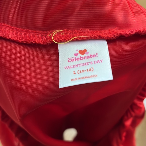 Way to Celebrate Valentines Girl Tutu Mesh skirt L(10-12) Brilliant Red - Picture 8 of 9